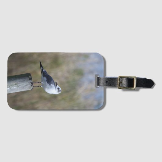 Meeuw op post bagagelabel (Voorkant (horizontaal))