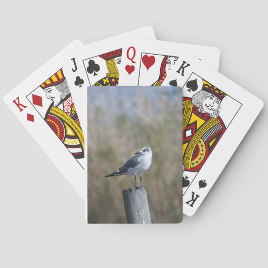 Meeuw op post pokerkaarten (Achterkant)
