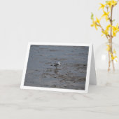 Meeuw Op Strand Kaart (Gele Bloem)