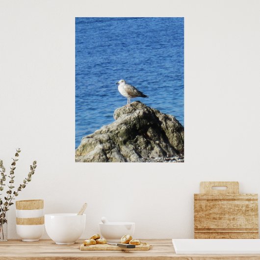 Meeuw Poster (Keuken)