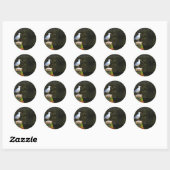 Meeuw Ronde Sticker (Vel)