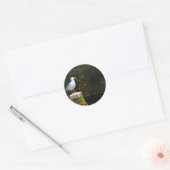 Meeuw Ronde Sticker (Envelop)