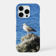 Meeuw telefoonhoesje