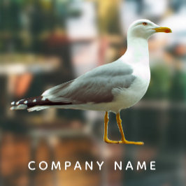 Meeuw Uitknipsel Pret Realistisch Zeemeeuw Motief  Raamsticker