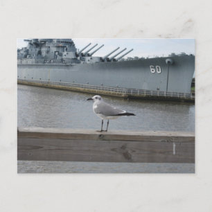 Meeuw USS Mobile Slagschip Fotografie Briefkaart