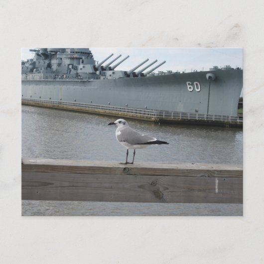 Meeuw USS Mobile Slagschip Fotografie Briefkaart (Voorkant)