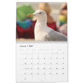 Meeuwen 2027 kalender (Jan 2027)