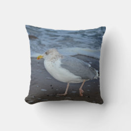 Meeuwen aan zee kussen