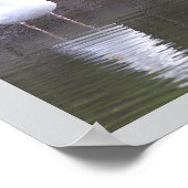 Meeuwen bij het Water Poster (Hoek)