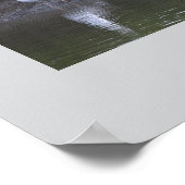 Meeuwen bij het Water Poster (Hoek)