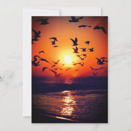 Meeuwen bij Zonsondergang Foto Oranje en Zwarte Tr Kaart