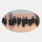 Meeuwen in de zonsondergang Stickers (Voorkant)