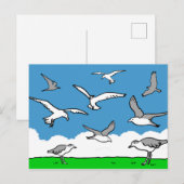 Meeuwen in vlucht briefkaart (Voorkant / Achterkant)