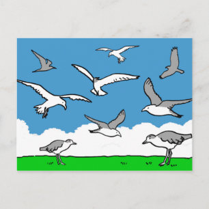 Meeuwen in vlucht briefkaart