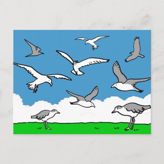 Meeuwen in vlucht briefkaart (Voorkant)
