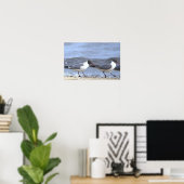 Meeuwen langs de kustlijn poster (Thuiskantoor)
