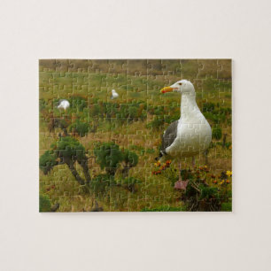 Meeuwen op Anacapa Island Legpuzzel
