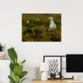 Meeuwen op Anacapa Island Poster (Thuiskantoor)