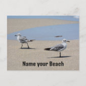 Meeuwen op het strand Aangepasbaar Briefkaart (Voorkant)