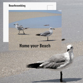 Meeuwen op het strand Aangepasbaar Briefkaart