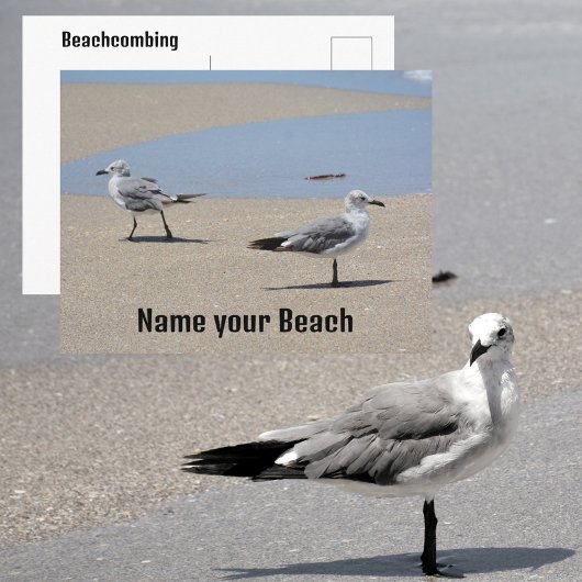 Meeuwen op het strand Aangepasbaar Briefkaart