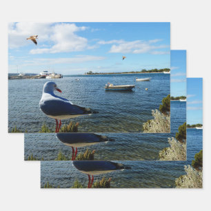 meeuwen op het strand kijken boten, cadeaupapier