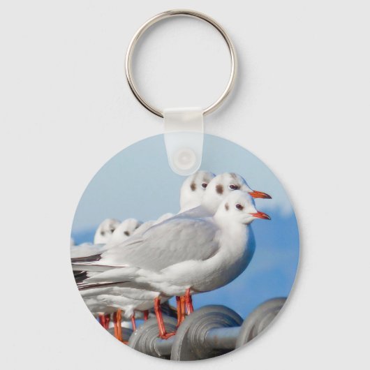 meeuwen Schattigee vogel Sleutelhanger (Voorkant)