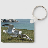 Meeuwen Sleutelhanger (Voorkant)