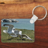 Meeuwen Sleutelhanger (Voorkant)