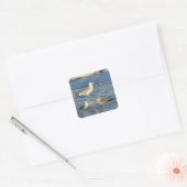 Meeuwen Vierkante Sticker (Envelop)