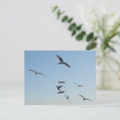 Meeuwen vliegen over oceaan kust wilde dieren vrij briefkaart (Staand voorkant)