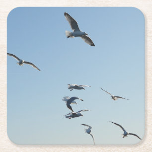 Meeuwen vliegen over oceaangolven kustvogel kartonnen onderzetters