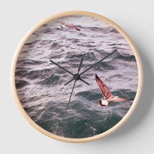 MEEUWEN VLIJGEN OVER DE ZEEGOLVEN