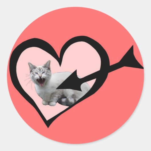 Meeuwende Kat Valentijn Sticker (Voorkant)