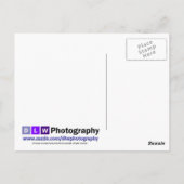 meeuwenrots briefkaart (Achterkant)