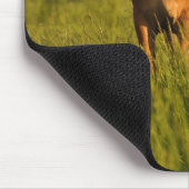 Meg in de pasta muismat (Hoek)