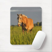 Meg in de pasta muismat (Met muis)