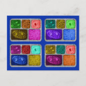 Mega Colorful Retro TV Dinners Briefkaart (Voorkant)