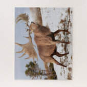 Megaloceros (reuzenIers elk) in sneeuwpuzzel Legpuzzel (Verticaal)
