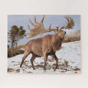 Megaloceros (reuzenIers elk) in sneeuwpuzzel Legpuzzel