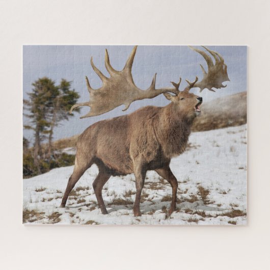 Megaloceros (reuzenIers elk) in sneeuwpuzzel Legpuzzel (Horizontaal)