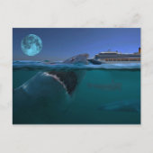 Megalodon Briefkaart (Voorkant)