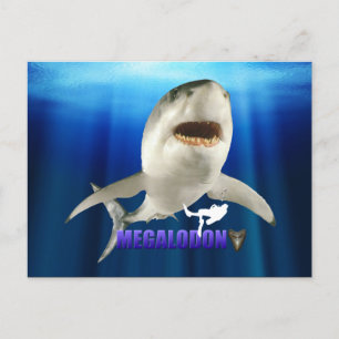 Megalodon Briefkaarten