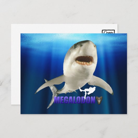 Megalodon Briefkaarten (Voorkant / Achterkant)