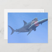 Megalodon eet een walvis briefkaart (Voorkant / Achterkant)