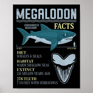 Megalodon Feiten Meg Prehistorische Haai Tand Foss Poster