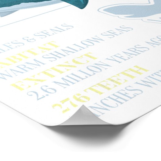 Megalodon feiten Meg prehistorische haaientand fos Poster (Hoek)