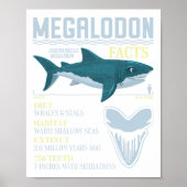 Megalodon feiten Meg prehistorische haaientand fos Poster (Voorkant)