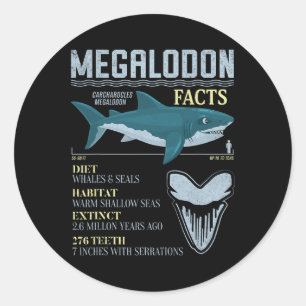 Megalodon feiten Meg prehistorische haaientand fos Ronde Sticker