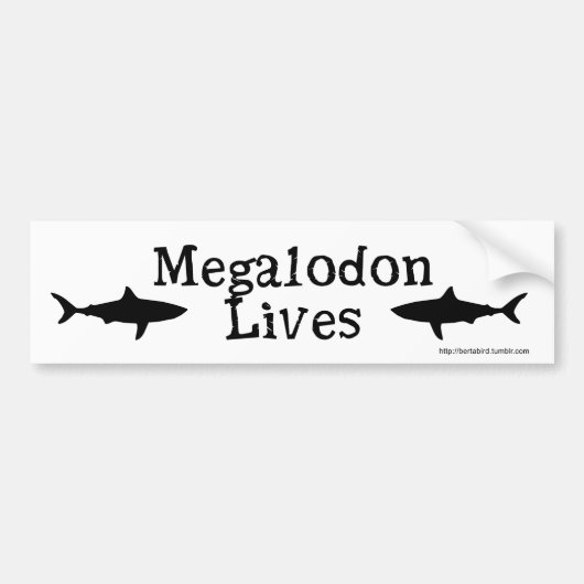 Megalodon leeft!  Bumpersticker (Voorkant)